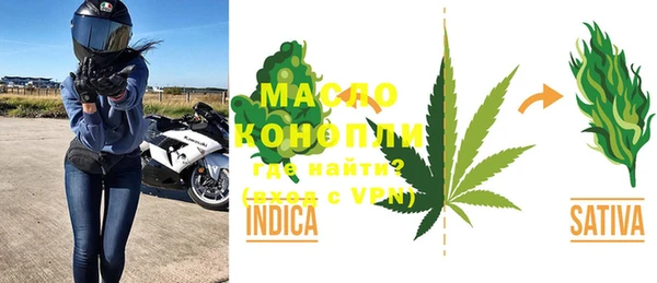 крисы Абаза
