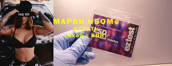 стаф Алзамай