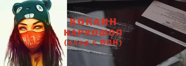 крисы Абаза