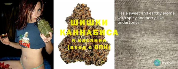 крисы Абаза