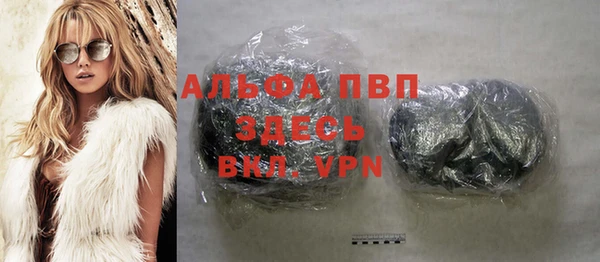 крисы Абаза