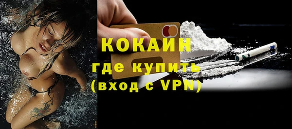 крисы Абаза