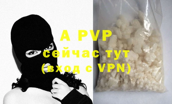 крисы Абаза