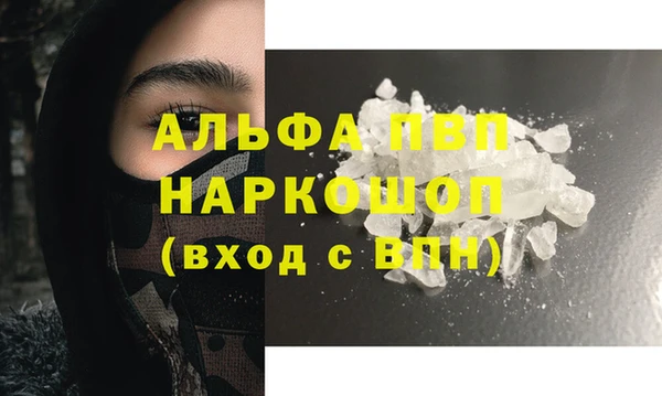 крисы Абаза