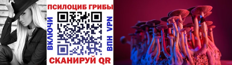 Псилоцибиновые грибы мухоморы Знаменск