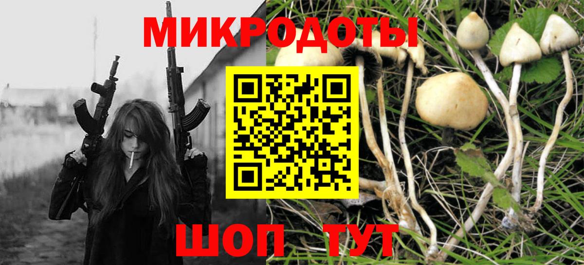 Галлюциногенные грибы Psilocybine cubensis  Вход с VPN  Знаменск  Псилоцибиновые грибы Psilocybe 